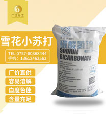 雪(xuě)花牌食(shí)用小蘇(sū)打